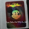 3d PET hologram label