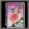 3d lenticular cover notebook