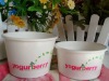 6/8oz Frozen Yogurt Bowl