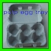 6pcs egg pulp carton