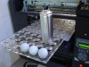 8 colour golf ball printing