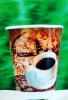 8oz pla double wall paper cup