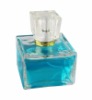 90ml perfume empty glass bottle with plastic cap