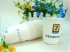 9oz Eco-Friendly Paper Cup