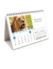 A5 Desk Calendars