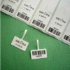 Adhesive Label