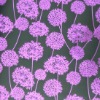 Allium Black/Pink Wrapping Paper