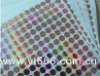 Anti-counterfeiting hologram Label