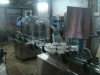 Automatic  Filling & Capping Line