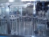 Automatic Mineral Water Bottling Plant