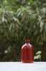 B11 100ml Plastic  bottle