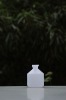 B20 50ml Plastic medicine  bottle