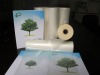 BOPP hot Lamination Film