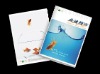 Beautiful Catalogue & Brochure