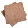 Bintangor Plywood for Packing-1800*900