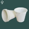 Biodegradable Disposable cup