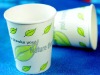 Biodegradable PLA paper cup