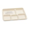 Biodegradable food container with 5 comparts