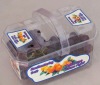 Blister Disposable Square Fruit Container