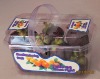 Blister Disposable Square Fruit Container