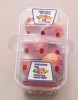 Blister Disposable Square Fruit Container