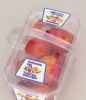 Blister Disposable Square Fruit Container