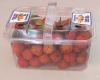 Blister Disposable Square Fruit Container