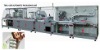 Blister Packer and cartoning Machine