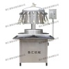 Bottle water filling machine