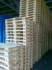 Brand New EURO PALLETS