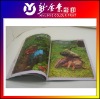 Brochure & Catalogue color printing