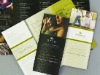 Brochure  printing with amzing outlook