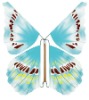 Butterfly Card