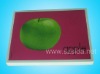 C-001 green apple teaching tool--printed color card