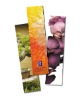 C2S glossy paper Bookmarks