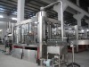 CGF24-24-8 Monoblock Mineral Water Production Line