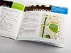 CMYK Brochure printing