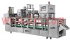 Calippo ice cream auto filling_sealing machine