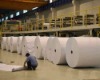 Carbonless Copy Paper Roll