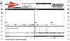 Carbonless computer printing paper( continuous forms)2 plies-SL896