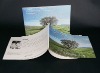 Cheap perfect binding brochure printing service