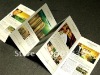 Cheap printing paper flyers design