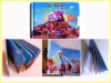 Children book printing