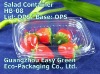 Clear Fruit Salad container HB-08