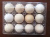 Clear and disposable plastic egg tray packing for 12