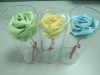 Clear plastic cylinder packaging for flower