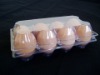 Clear plastic pp disposable and foldable egg tray