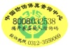 Code Anti-counterfeitng Label