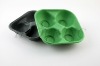 Coloed  Pulp Tray