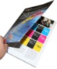 Color and High Quality Flyer Printing